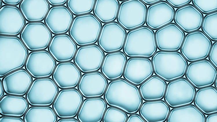 Cell Bank Characterization Guidelines: Ensuring Quality and Safety for Biologics