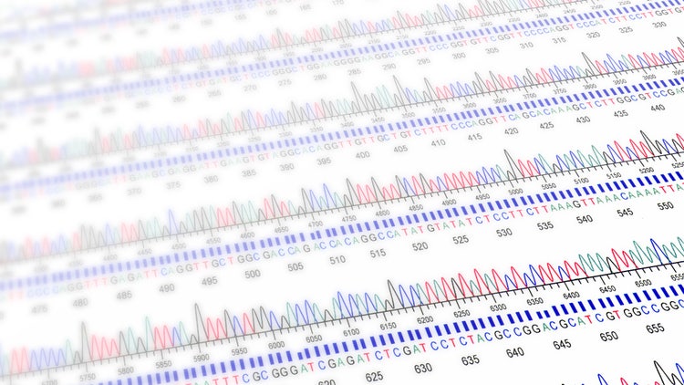 Sanger Sequencing for Plasmid DNA Verification