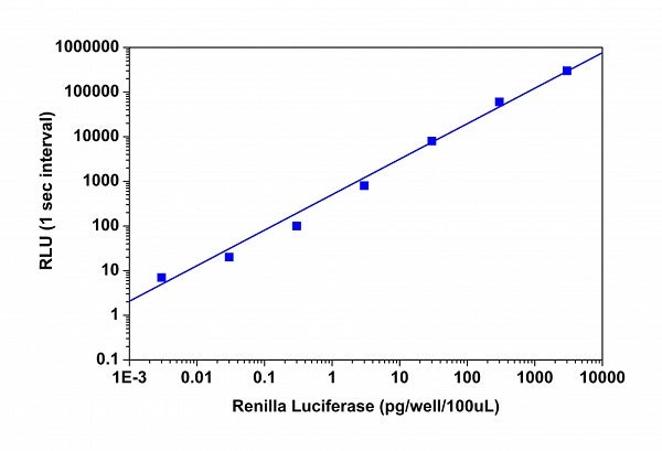Luciferase reporter assay