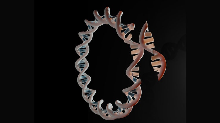 Plasmid Engineering