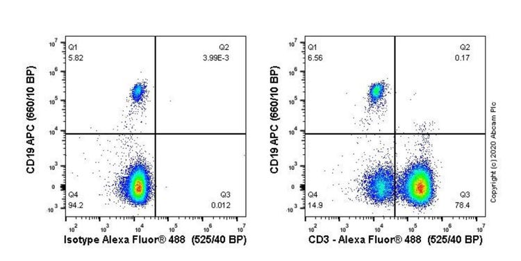 Cd3 antibody flow