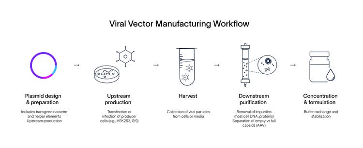 Viral Vector Manufacturing Workflow