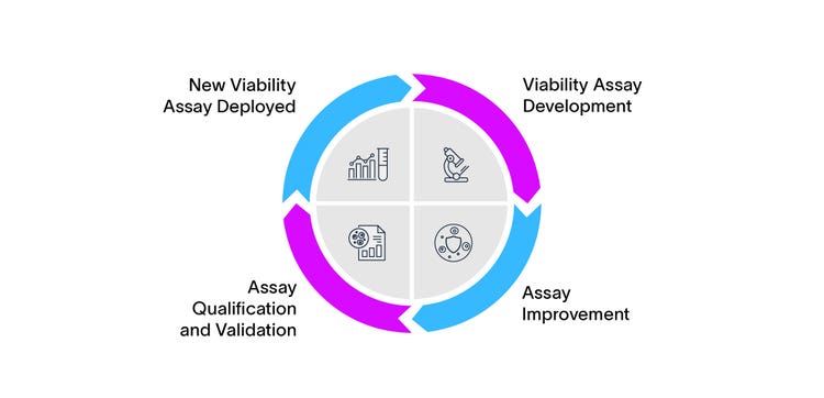 Circular viability assay development cycle with four phases: viability assay development, assay improvement, assay qualification and validation, and new viability assay deployed.
