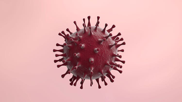 Understanding Retroviruses - Replication and Their Role