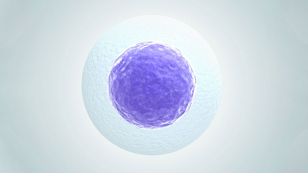 Single-Cell Isolation: Analysis, Techniques and Applications | Danaher ...
