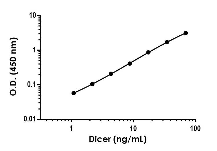 Dicer antibody epr24104