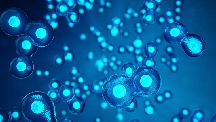 Stem Cell Therapy