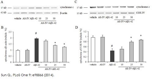 Cytochrome c release assay kit