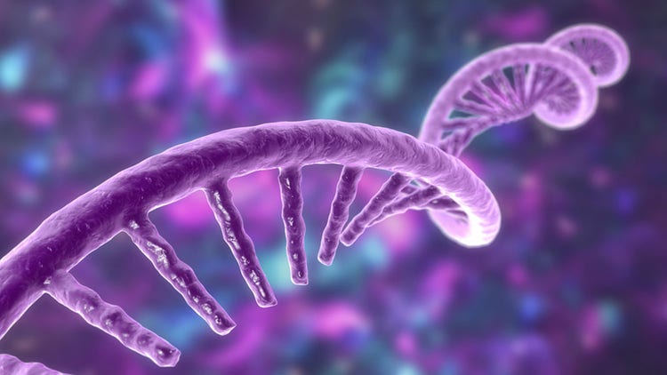 Introduction to mRNA Delivery