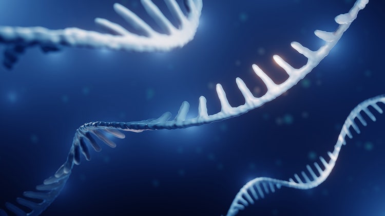 RNA Sequencing