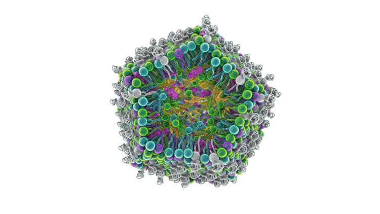 Solid Lipid Nanoparticles (SLNs)
