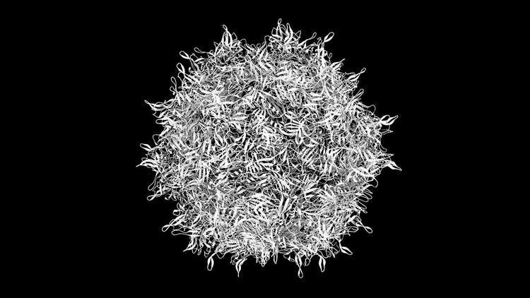 Adeno-associated Viruses (AAV)