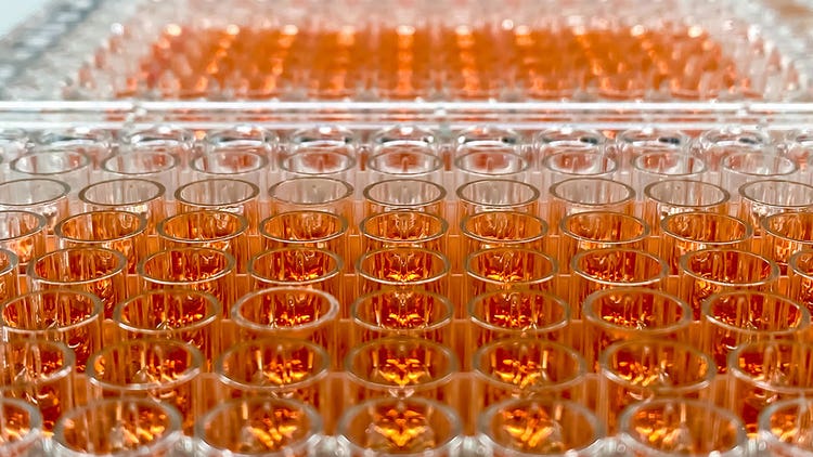 Cell Viability