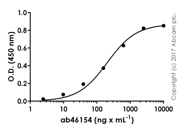 Anti VEGFA antibody