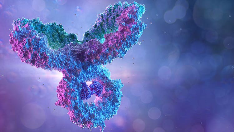 Monoclonal Antibodies (mAbs)