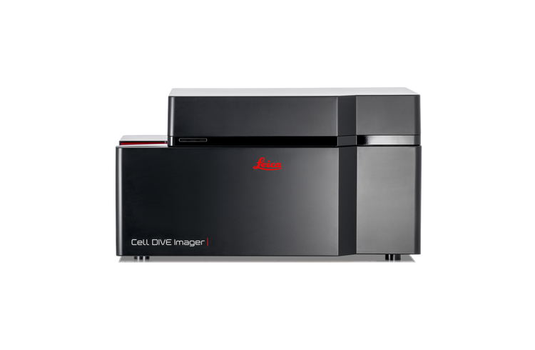 Cell dive multiplex imaging solution