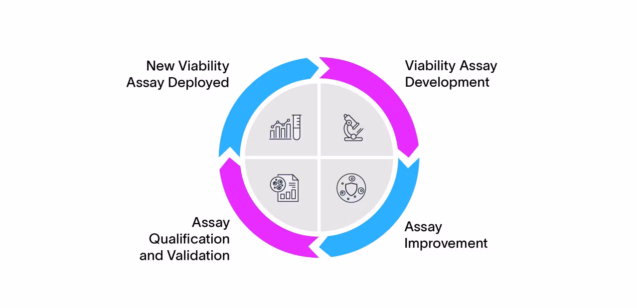 Circular viability assay development cycle with four phases: viability assay development, assay improvement, assay qualification and validation, and new viability assay deployed.