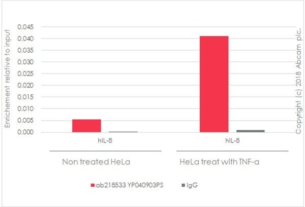 Recombinant TNF alpha protein
