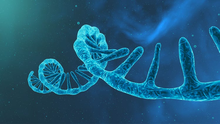 mRNA Nucleotides