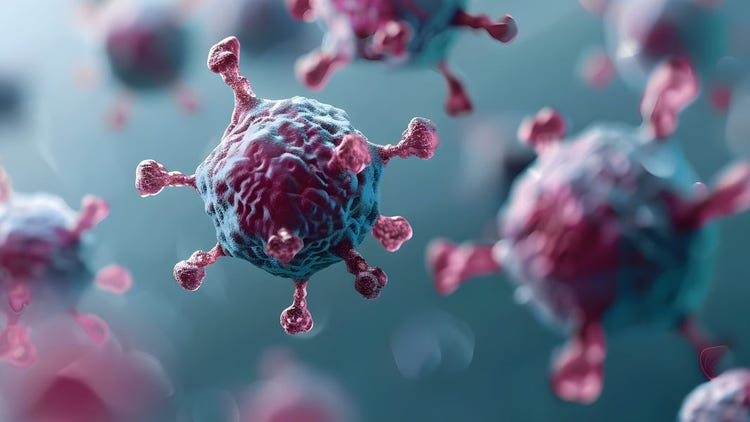 Understanding the Differences Between CD4 and CD8 T Cells