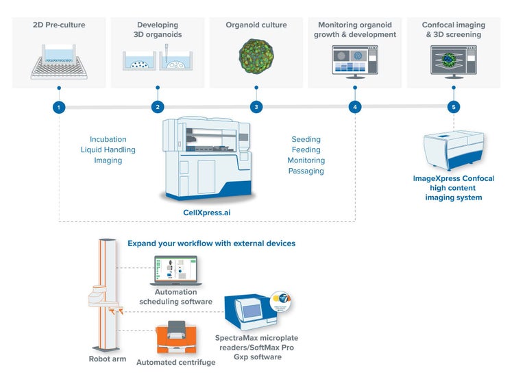 CellXpress.ai Automated Cell Culture System