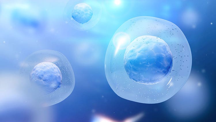 Monoclonality Assurance