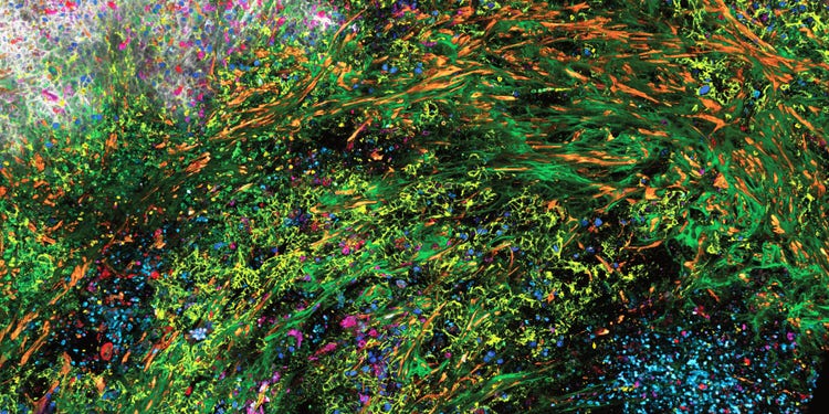 Spectraplex for spatial biology