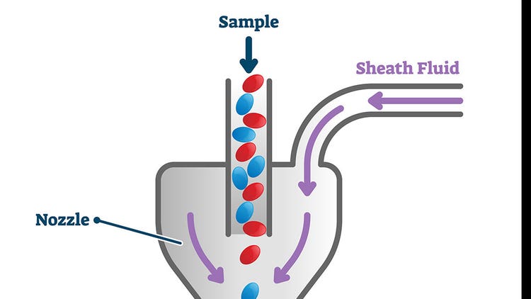 Flow Cytometry - Principles, Types & Applications