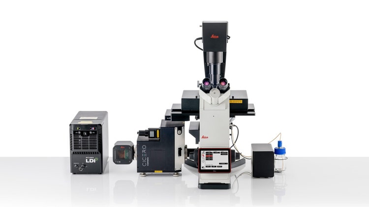 Leica crest optics