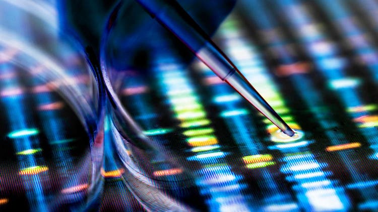Beacon CRISPR