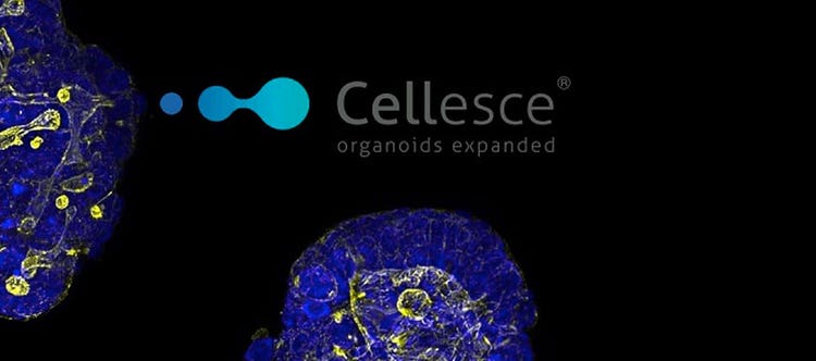 Molecular Devices adds proprietary patient-derived organoid technology