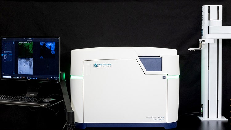 Moldev Imagexpress ai