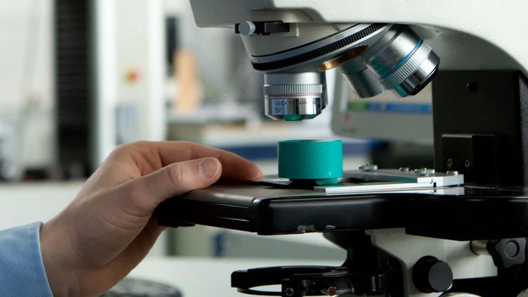 Leica Microsystems