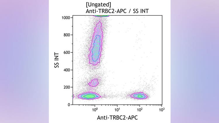 Anti-TRBC2