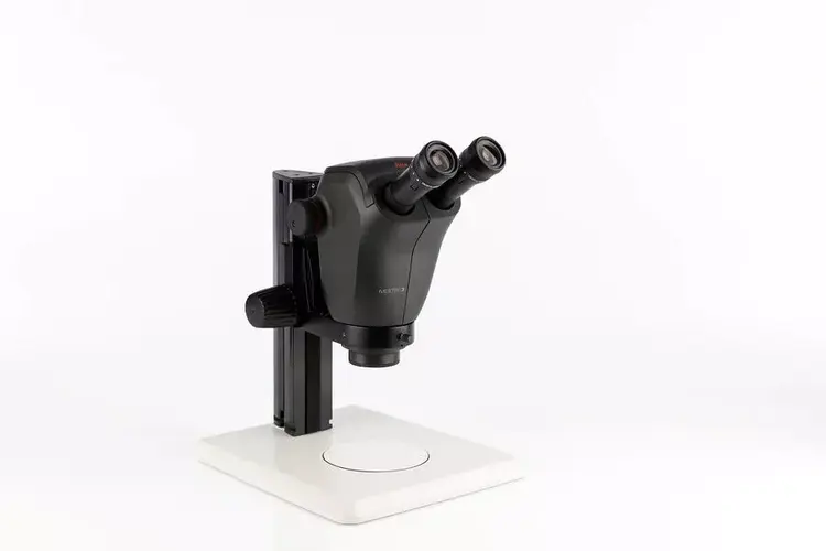Ivesta 3 Stereo Microscope for Inspection