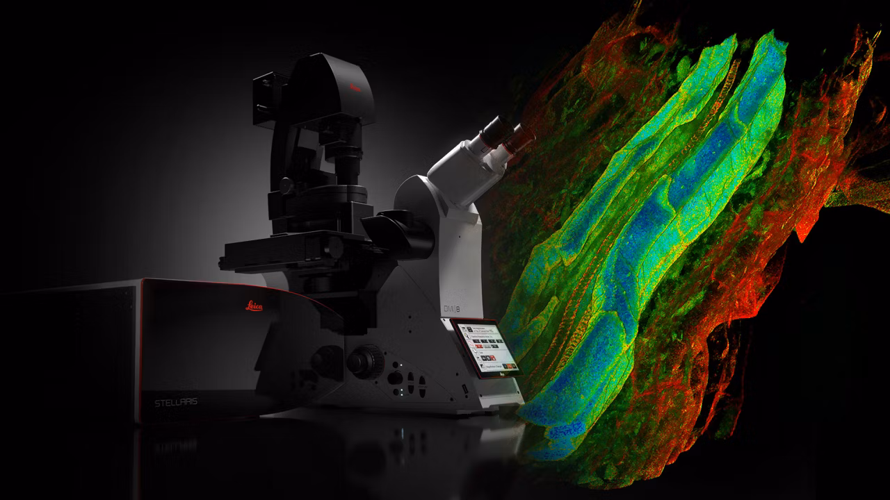 Stellaris Confocal Header Kid21775021