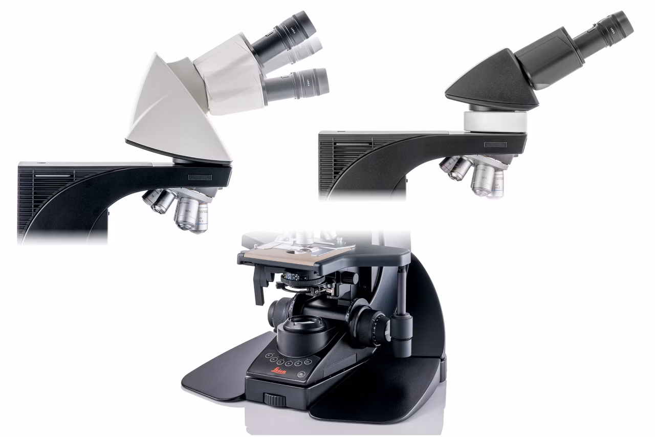 Visoria B Ergo Accessories Kid21777020