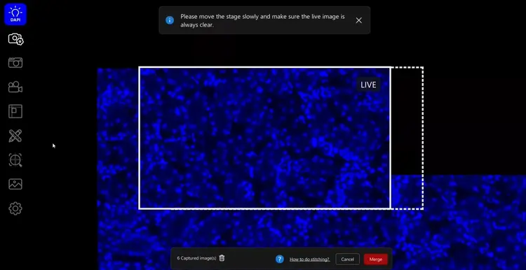 Visoria B Laboratory Microscope for Immunofluorescence