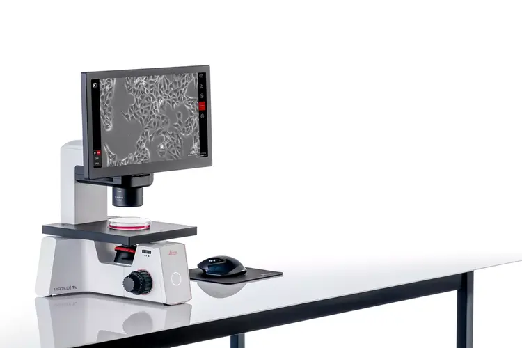 Mateo TL for Easy Confluency Checks