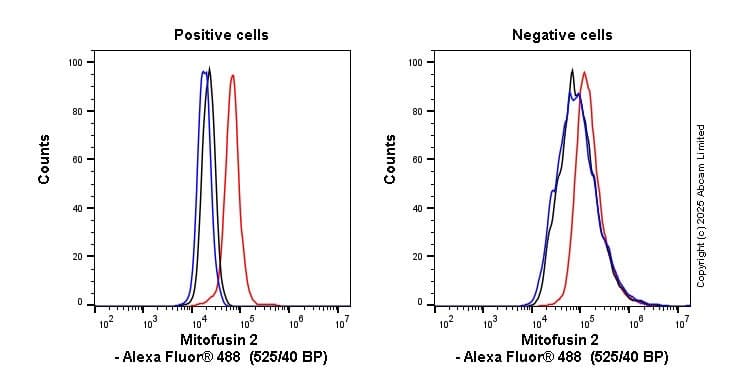 Anti-Mitofusin 2 antibody [EPR19796] - BSA and Azide free(AB251422)