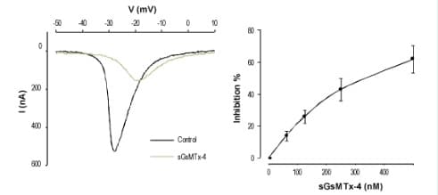 GsMTx-4, mechanosensitive and stretch-activated ion channel inhibitor(AB141871)