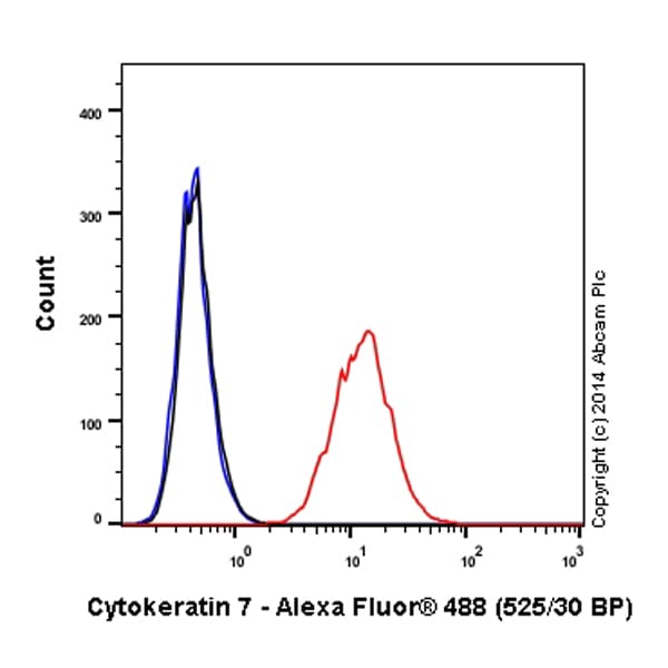 Alexa Fluor® 488 Anti-Cytokeratin 7 antibody [EPR1619Y] - Cytoskeleton Marker(AB185048)