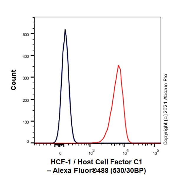 Anti-HCF-1 / Host Cell Factor C1 antibody [EPR25290-18](AB289975)