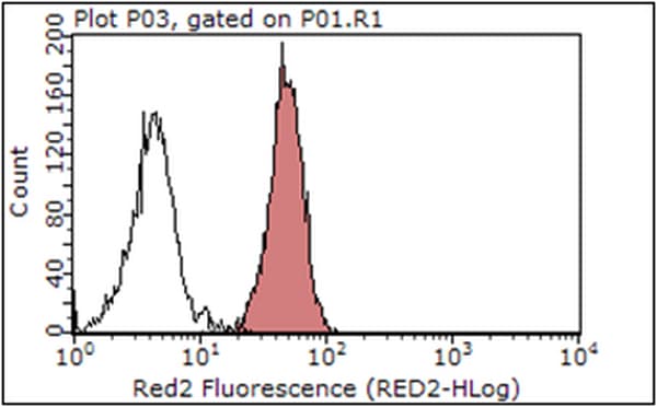 Anti-Integrin alpha V antibody [272-17E6] - BSA and Azide free(AB16821)