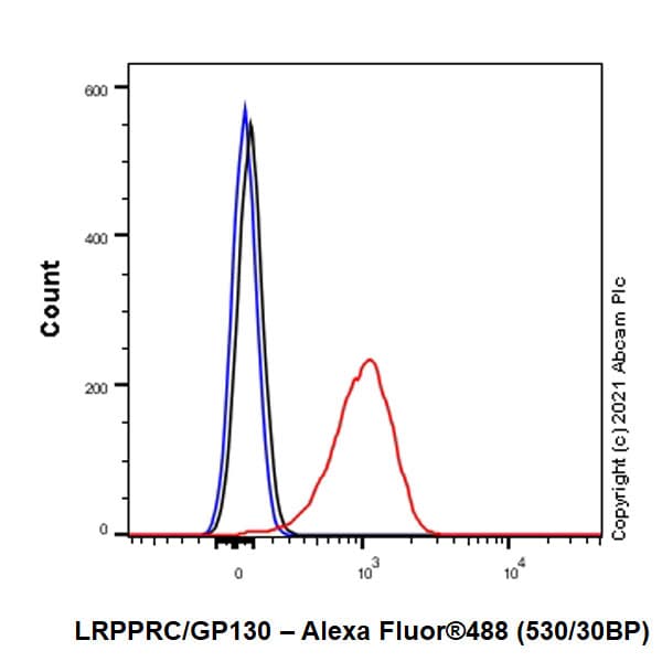 Anti-LRPPRC/GP130 antibody [EPR24052-38](AB259927)