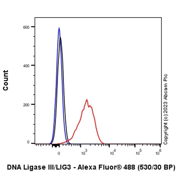 Anti-DNA Ligase III/LIG3 antibody [EPR27265-44](AB313374)