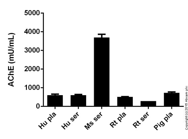 Acetylcholinesterase Assay Kit (Fluorometric -Red)(AB138873)