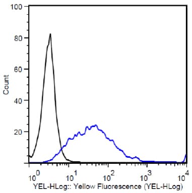 PE Anti-DDDDK tag (Binds to FLAG® tag sequence) antibody [M2](AB72469)