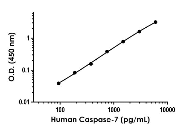 Anti-Caspase-7 antibody [EPR22839-73] - BSA and Azide free (Capture)(AB274444)