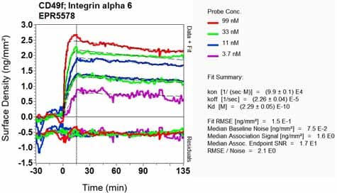 Anti-Integrin alpha 6 antibody [EPR5578] - BSA and Azide free(AB248060)